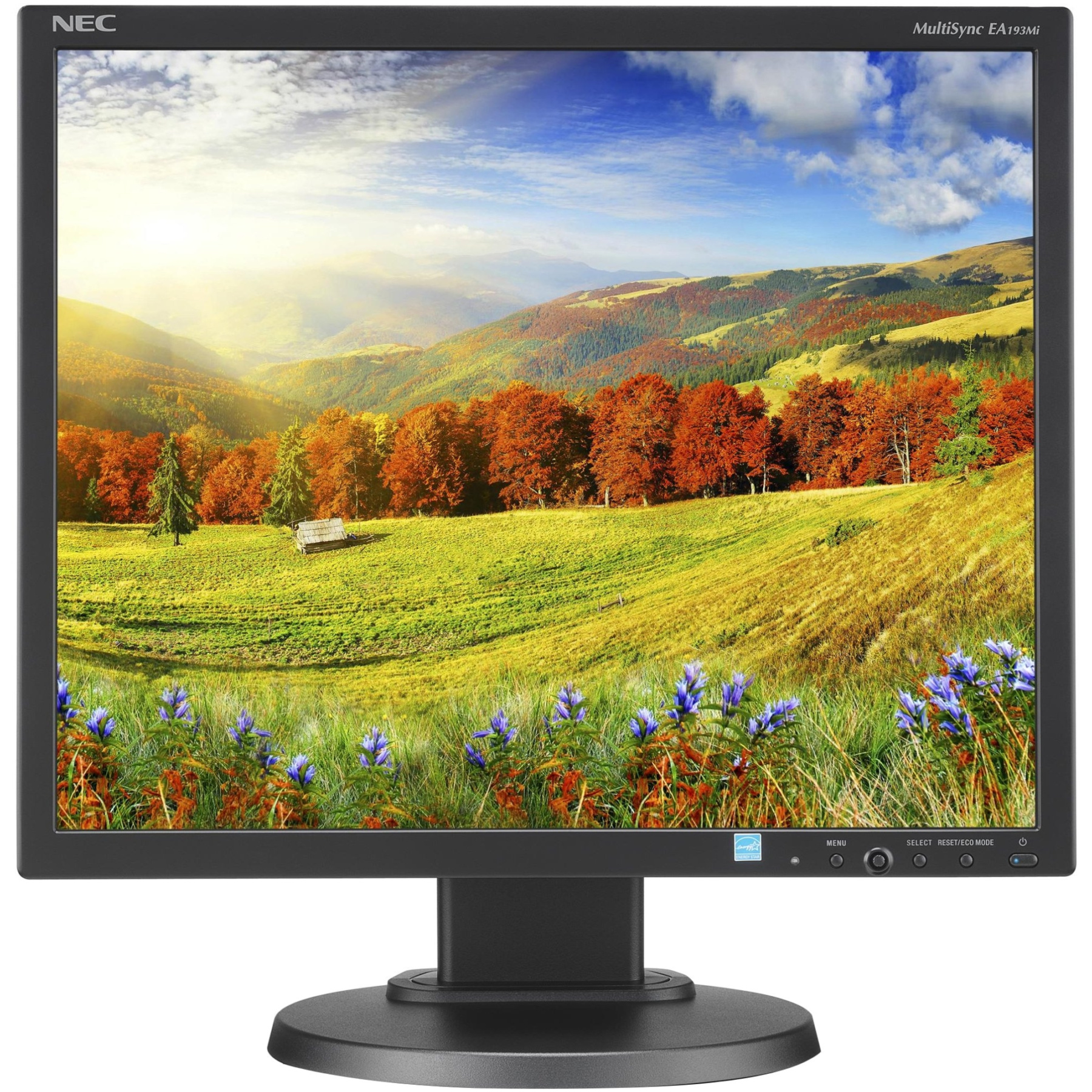 Monitor. Монитор NEC ea193mi-BK. NEC MULTISYNC ea193mi. NEC MULTISYNC ea193mi-BK. Монитор NEC MULTISYNC ea193mi Black.