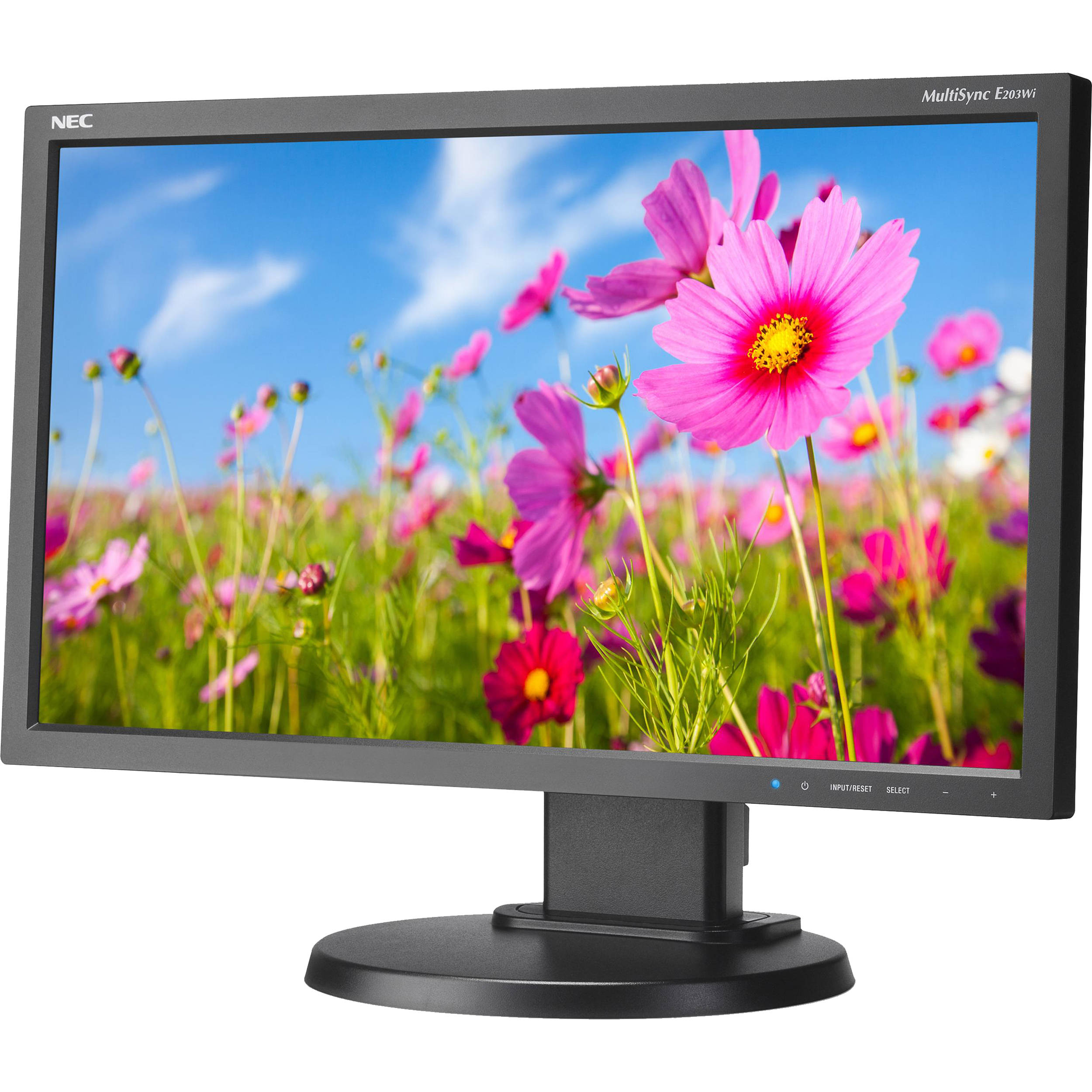 Мониторы в москве. Монитор NEC MULTISYNC e203wi. Led мониторы NEC 20 дюймов. NEC MULTISYNC lcd175m-BK 17 inch 1,000:1 5ms VGA/DVI LCD Monitor (Black).