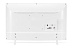 Телевизор LG 43LJ519V