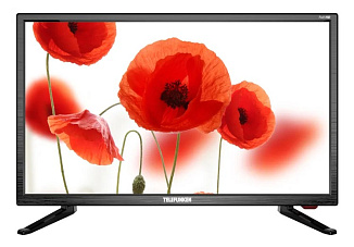 Телевизор Telefunken TF-LED22S50T2(ЧЕРНЫЙ)