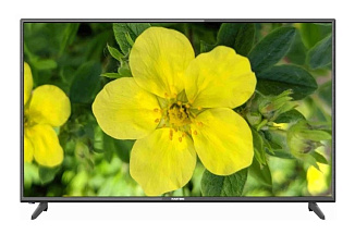 Телевизор Hartens HTV-43F01-T2C