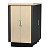 Телекоммуникационный шкаф APC NetShelter CX 24U AR4024IA