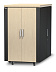 Телекоммуникационный шкаф APC NetShelter CX 24U AR4024IA