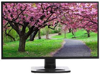 Монитор IIYAMA X2481HS-B1